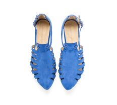 Royal blue shoes