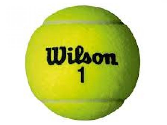 Wilson Single Tennis Ball