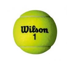 Wilson Single Tennis Ball